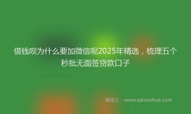 借钱呗为什么要加微信呢2025年精选，梳理五个秒批无面签贷款口子