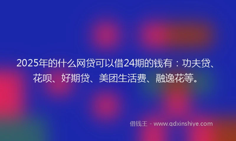 2025年的什么网贷可以借24期的钱有：功夫贷、花呗、好期贷、美团生活费、融逸花等。