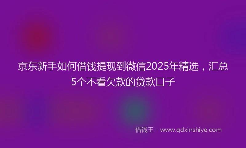 京东新手如何借钱提现到微信2025年精选，汇总5个不看欠款的贷款口子