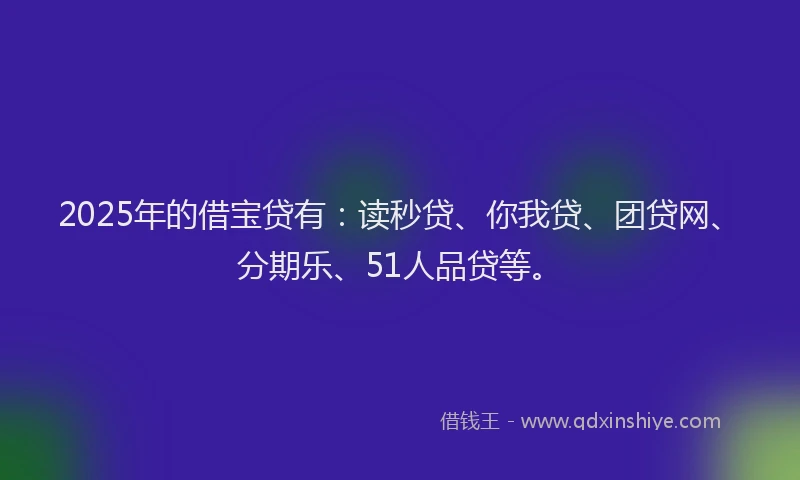 2025年的借宝贷有：读秒贷、你我贷、团贷网、分期乐、51人品贷等。