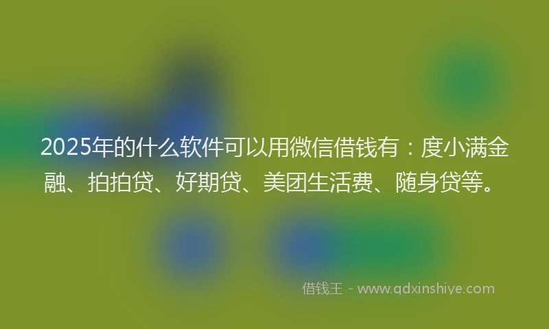 2025年的什么软件可以用微信借钱有：度小满金融、拍拍贷、好期贷、美团生活费、随身贷等。