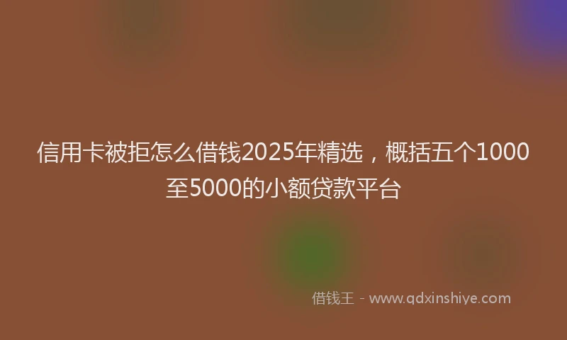 信用卡被拒怎么借钱2025年精选，概括五个1000至5000的小额贷款平台
