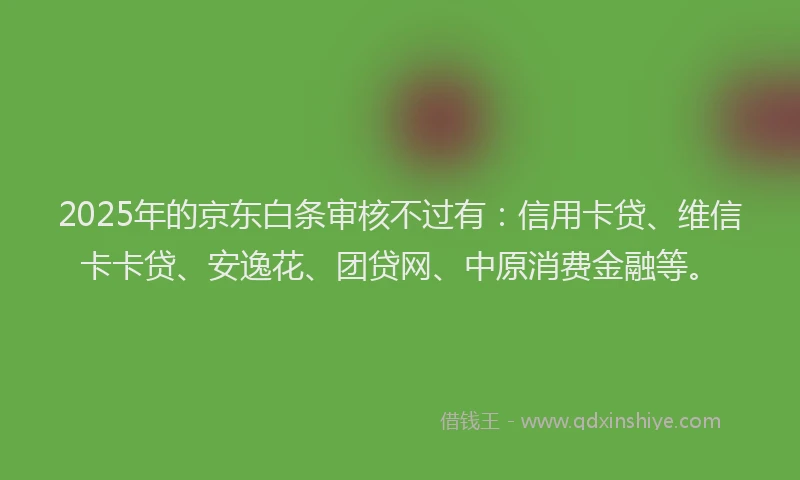 2025年的京东白条审核不过有：信用卡贷、维信卡卡贷、安逸花、团贷网、中原消费金融等。