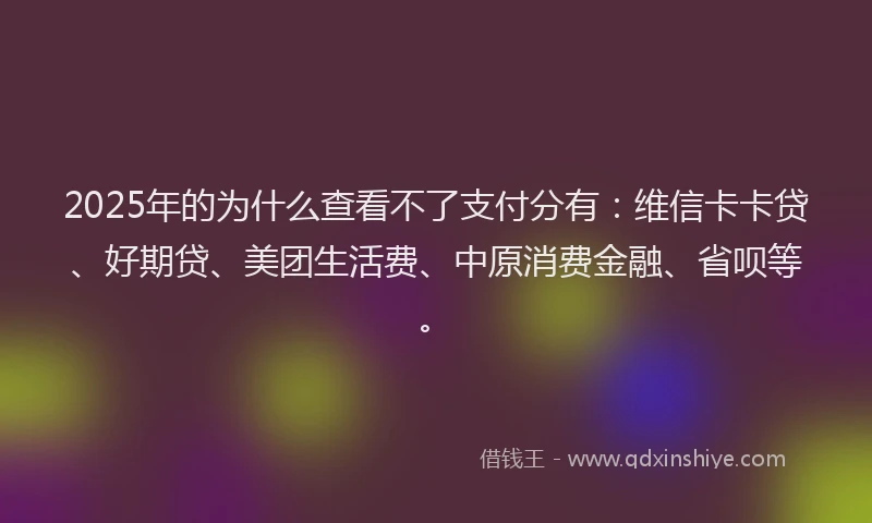 2025年的为什么查看不了支付分有：维信卡卡贷、好期贷、美团生活费、中原消费金融、省呗等。