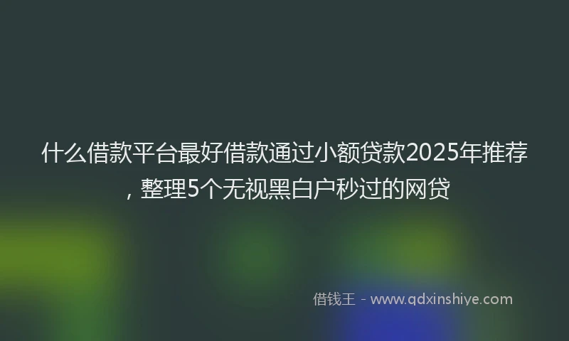什么借款平台最好借款通过小额贷款2025年推荐，整理5个无视黑白户秒过的网贷