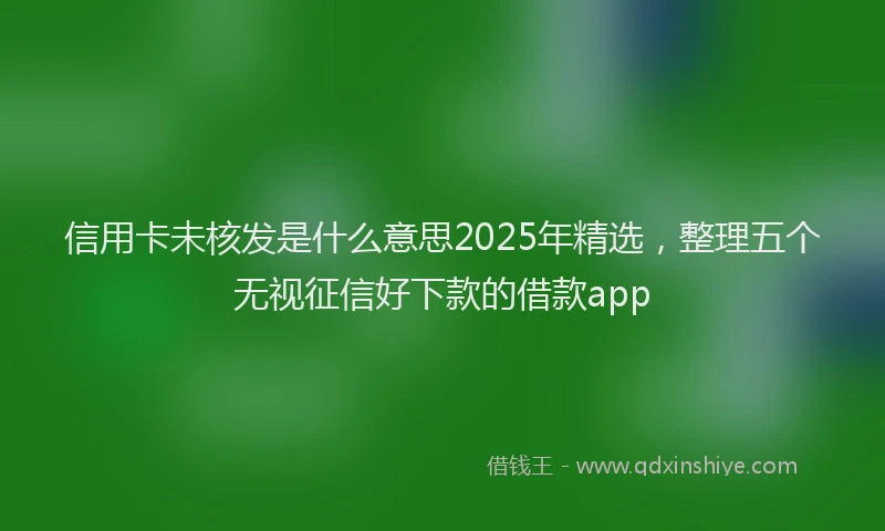 信用卡未核发是什么意思2025年精选，整理五个无视征信好下款的借款app