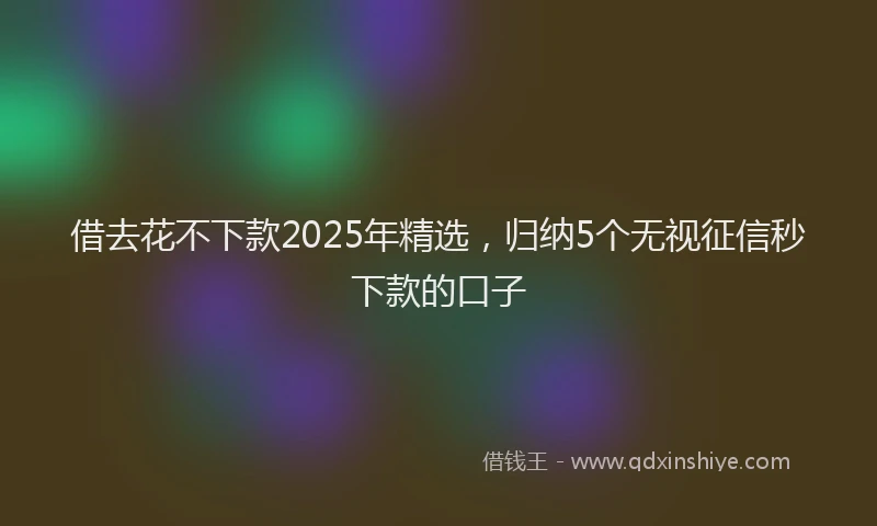 借去花不下款2025年精选，归纳5个无视征信秒下款的口子