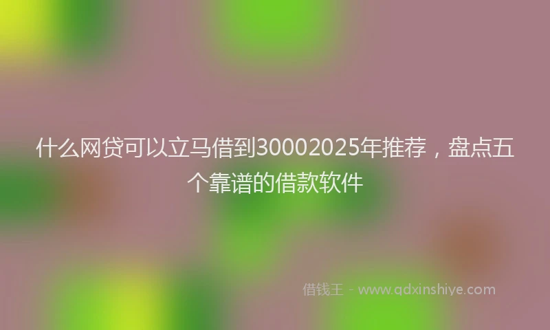 什么网贷可以立马借到30002025年推荐，盘点五个靠谱的借款软件