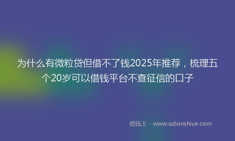 为什么有微粒贷但借不了钱2025年推荐，梳理五个20岁可以借钱平台不查征信的口子