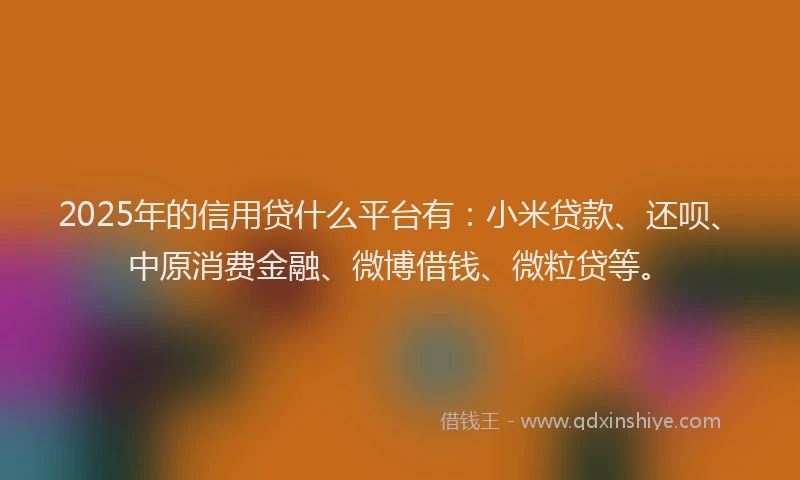 2025年的信用贷什么平台有：小米贷款、还呗、中原消费金融、微博借钱、微粒贷等。