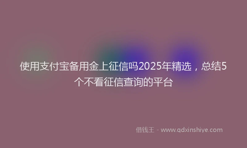 使用支付宝备用金上征信吗2025年精选，总结5个不看征信查询的平台