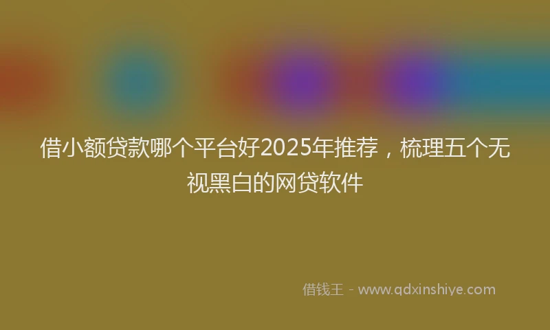 借小额贷款哪个平台好2025年推荐，梳理五个无视黑白的网贷软件
