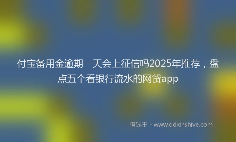 付宝备用金逾期一天会上征信吗2025年推荐，盘点五个看银行流水的网贷app