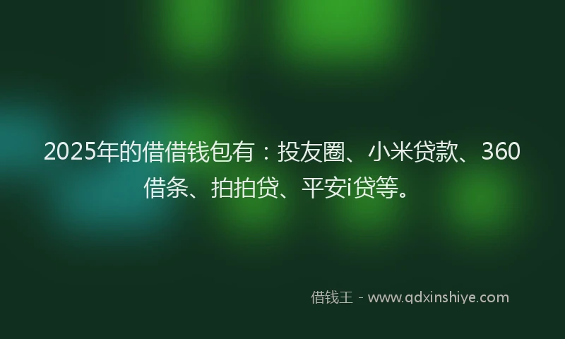 2025年的借借钱包有：投友圈、小米贷款、360借条、拍拍贷、平安i贷等。