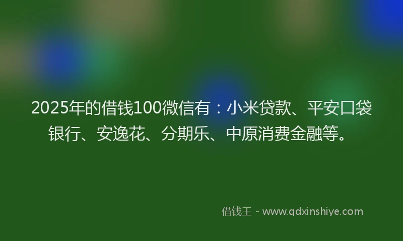 2025年的借钱100微信有：小米贷款、平安口袋银行、安逸花、分期乐、中原消费金融等。