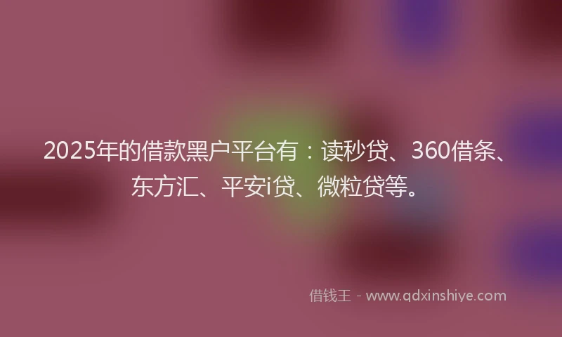 2025年的借款黑户平台有：读秒贷、360借条、东方汇、平安i贷、微粒贷等。
