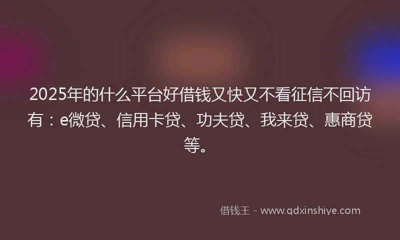 2025年的什么平台好借钱又快又不看征信不回访有：e微贷、信用卡贷、功夫贷、我来贷、惠商贷等。