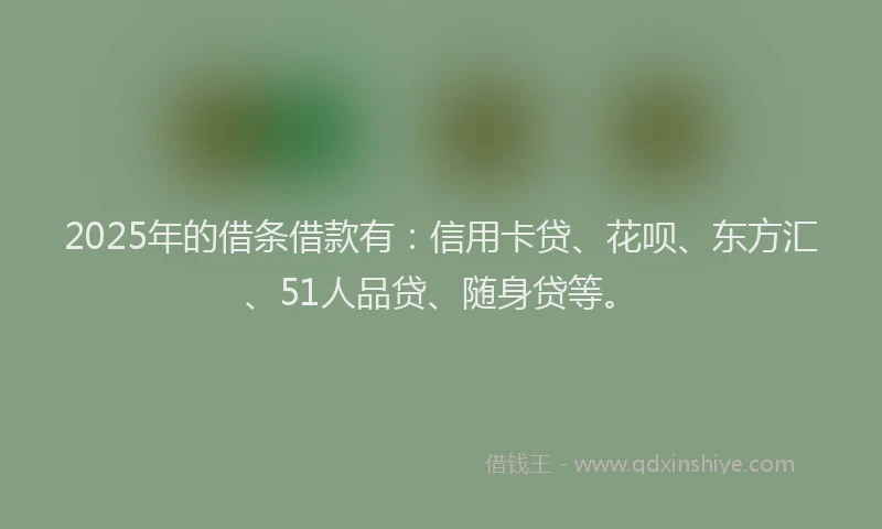 2025年的借条借款有：信用卡贷、花呗、东方汇、51人品贷、随身贷等。