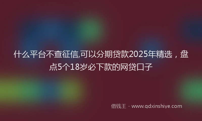 什么平台不查征信,可以分期贷款2025年精选，盘点5个18岁必下款的网贷口子