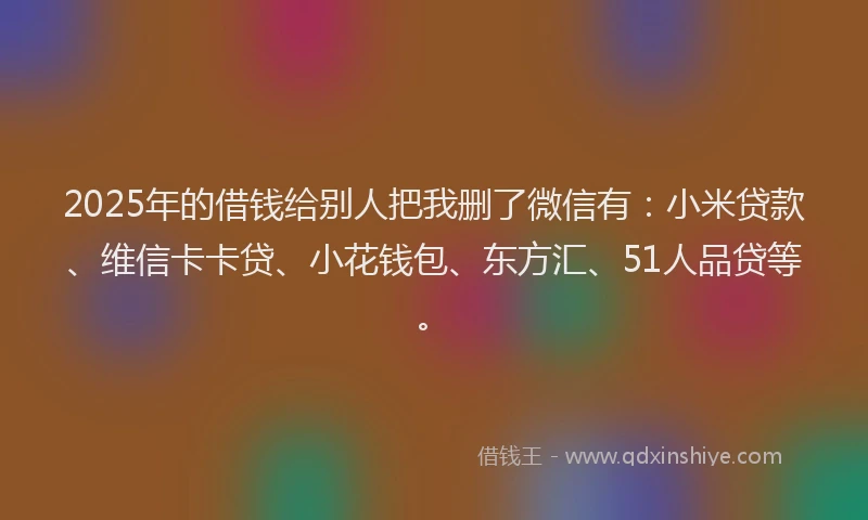 2025年的借钱给别人把我删了微信有：小米贷款、维信卡卡贷、小花钱包、东方汇、51人品贷等。