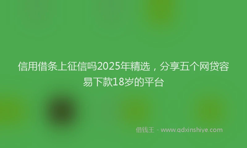 信用借条上征信吗2025年精选，分享五个网贷容易下款18岁的平台