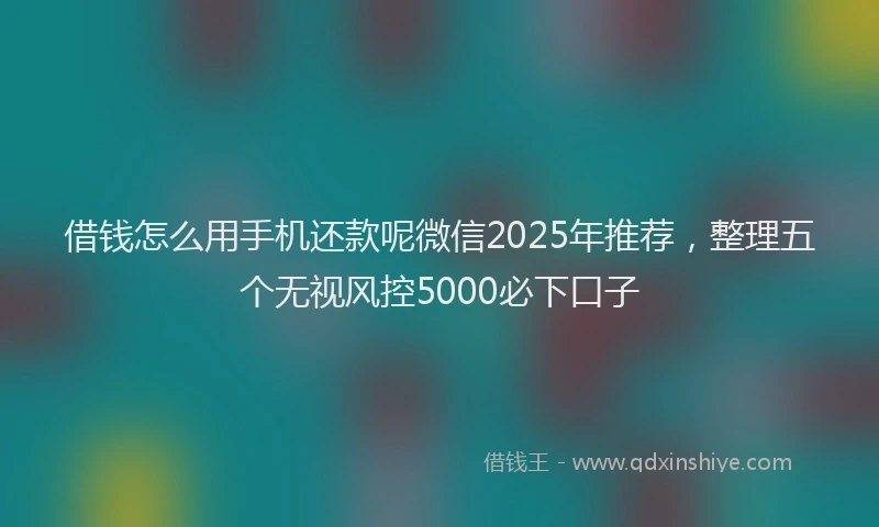 借钱怎么用手机还款呢微信2025年推荐，整理五个无视风控5000必下口子
