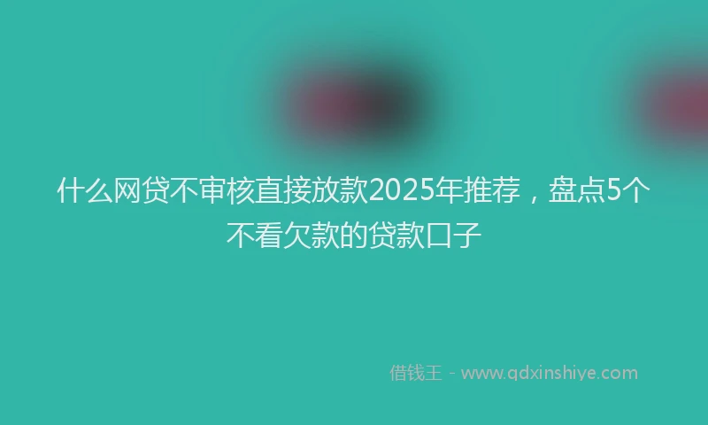 什么网贷不审核直接放款2025年推荐，盘点5个不看欠款的贷款口子