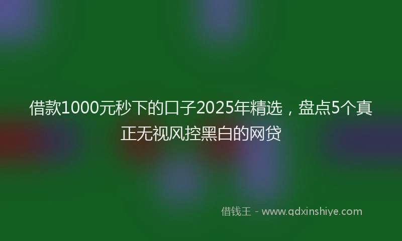 借款1000元秒下的口子2025年精选，盘点5个真正无视风控黑白的网贷