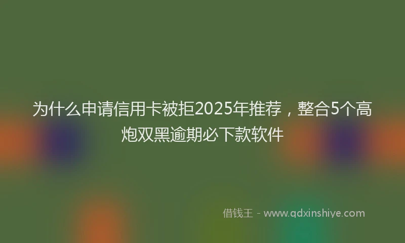 为什么申请信用卡被拒2025年推荐，整合5个高炮双黑逾期必下款软件