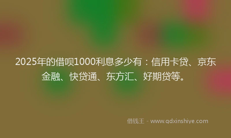 2025年的借呗1000利息多少有：信用卡贷、京东金融、快贷通、东方汇、好期贷等。