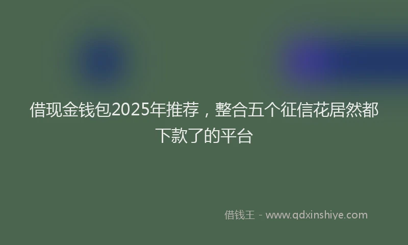 借现金钱包2025年推荐，整合五个征信花居然都下款了的平台