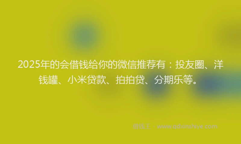 2025年的会借钱给你的微信推荐有：投友圈、洋钱罐、小米贷款、拍拍贷、分期乐等。
