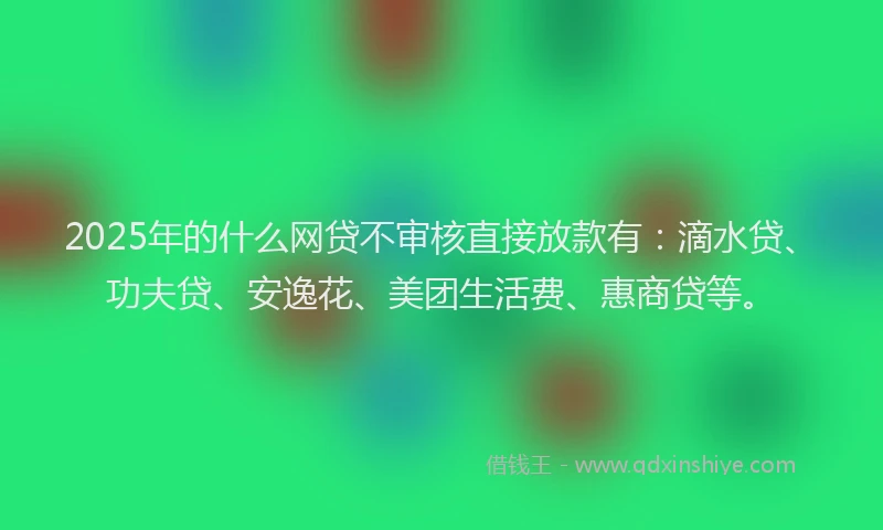 2025年的什么网贷不审核直接放款有：滴水贷、功夫贷、安逸花、美团生活费、惠商贷等。