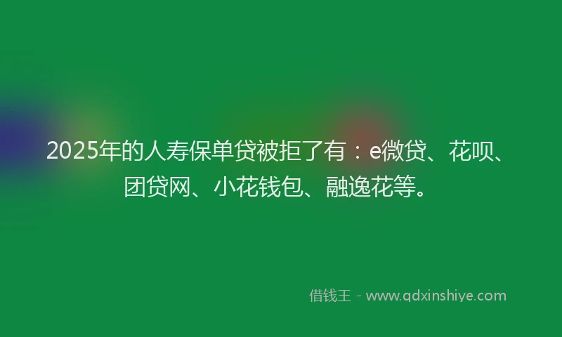 2025年的人寿保单贷被拒了有：e微贷、花呗、团贷网、小花钱包、融逸花等。
