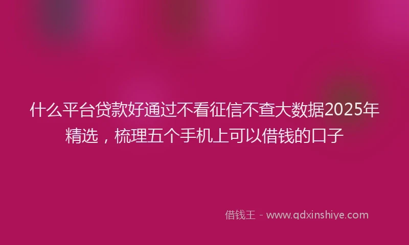 什么平台贷款好通过不看征信不查大数据2025年精选，梳理五个手机上可以借钱的口子