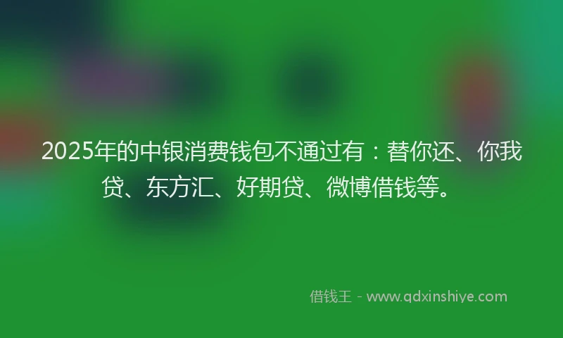 2025年的中银消费钱包不通过有：替你还、你我贷、东方汇、好期贷、微博借钱等。