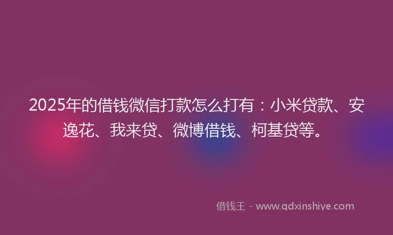 2025年的借钱微信打款怎么打有：小米贷款、安逸花、我来贷、微博借钱、柯基贷等。