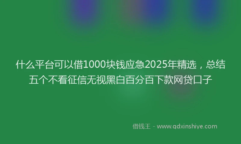 什么平台可以借1000块钱应急2025年精选，总结五个不看征信无视黑白百分百下款网贷口子