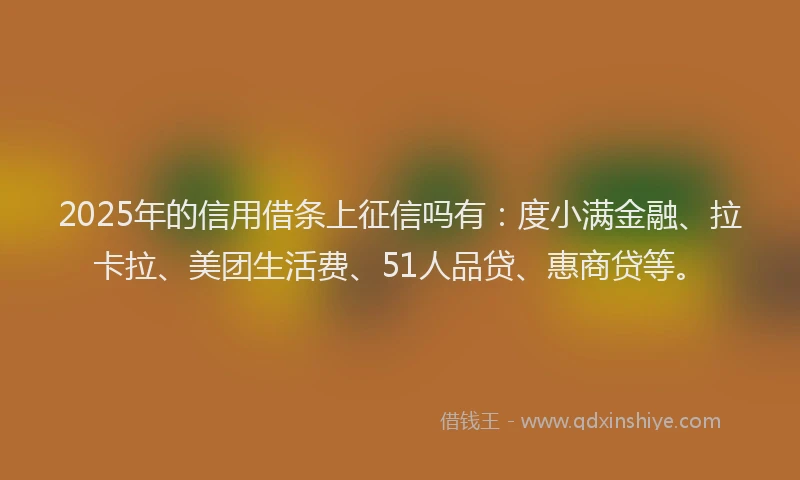 2025年的信用借条上征信吗有：度小满金融、拉卡拉、美团生活费、51人品贷、惠商贷等。