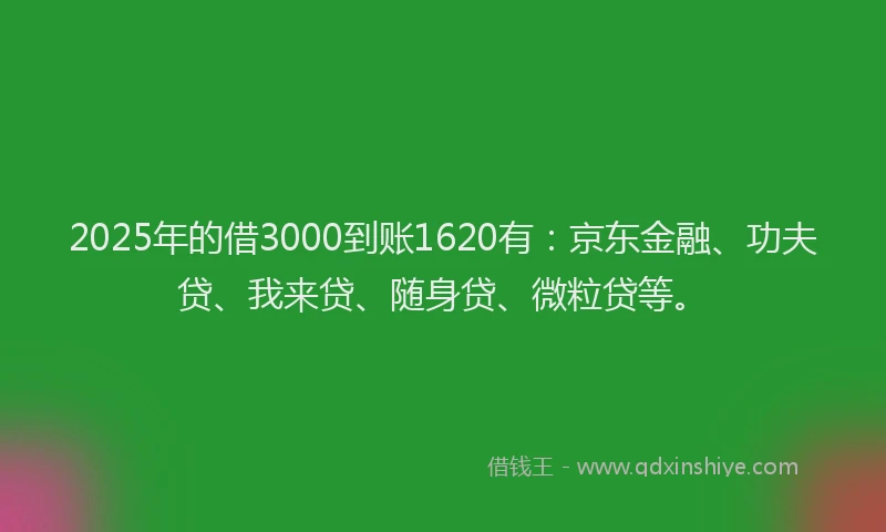 2025年的借3000到账1620有：京东金融、功夫贷、我来贷、随身贷、微粒贷等。