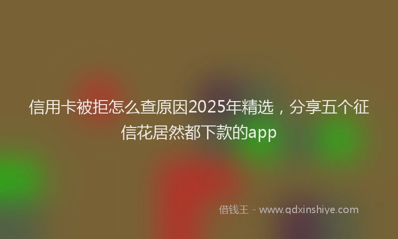 信用卡被拒怎么查原因2025年精选，分享五个征信花居然都下款的app