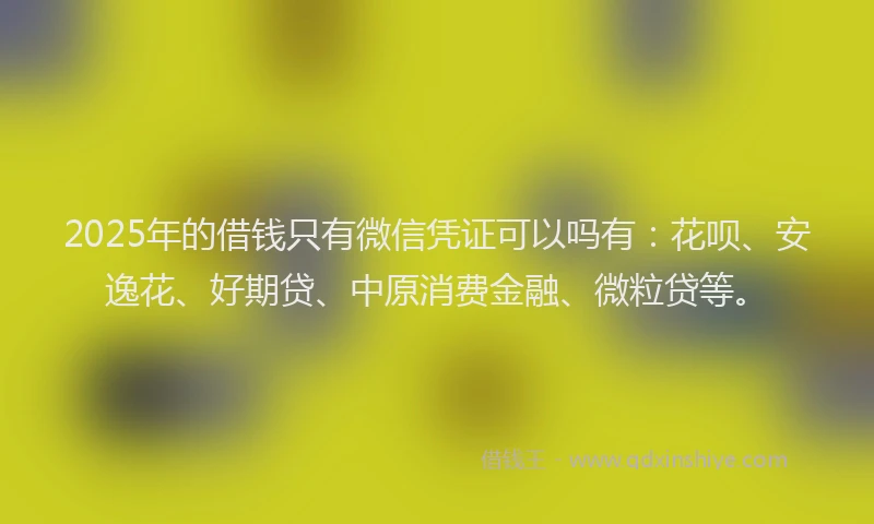 2025年的借钱只有微信凭证可以吗有：花呗、安逸花、好期贷、中原消费金融、微粒贷等。