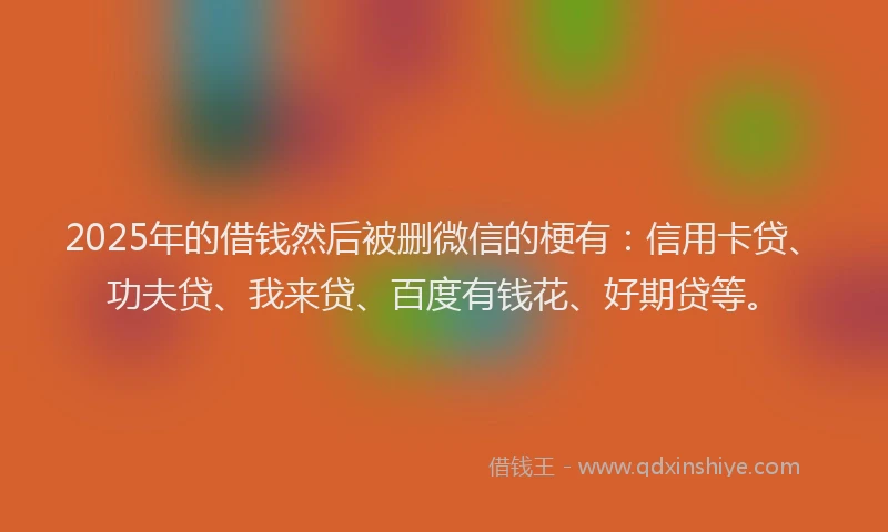 2025年的借钱然后被删微信的梗有：信用卡贷、功夫贷、我来贷、百度有钱花、好期贷等。