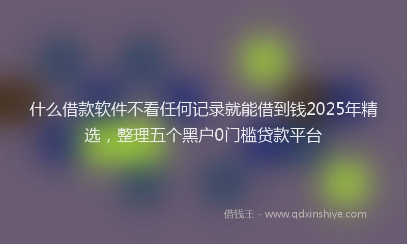 什么借款软件不看任何记录就能借到钱2025年精选，整理五个黑户0门槛贷款平台