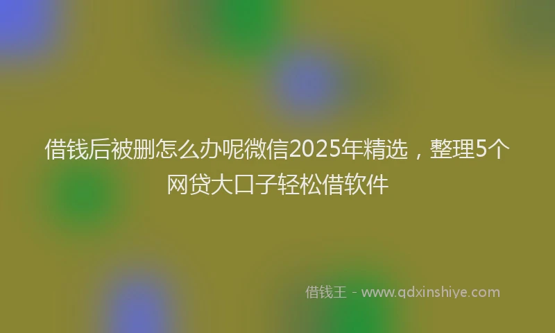 借钱后被删怎么办呢微信2025年精选，整理5个网贷大口子轻松借软件