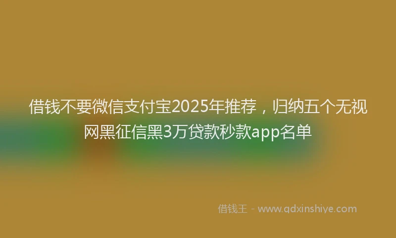 借钱不要微信支付宝2025年推荐，归纳五个无视网黑征信黑3万贷款秒款app名单