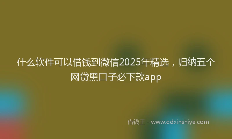 什么软件可以借钱到微信2025年精选，归纳五个网贷黑口子必下款app