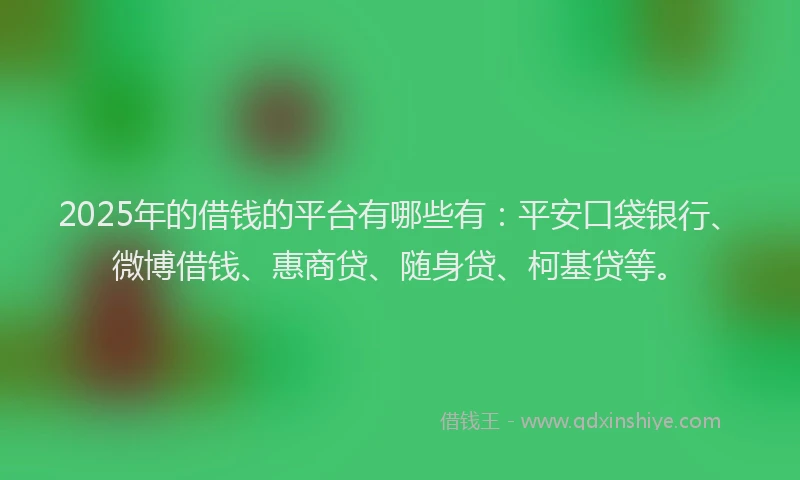 2025年的借钱的平台有哪些有：平安口袋银行、微博借钱、惠商贷、随身贷、柯基贷等。