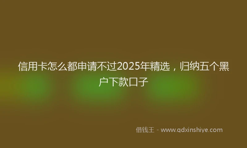 信用卡怎么都申请不过2025年精选，归纳五个黑户下款口子