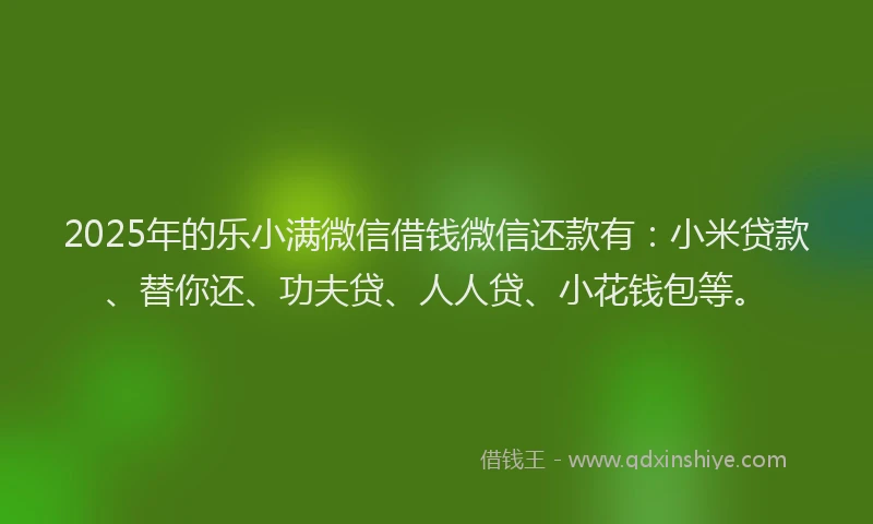 2025年的乐小满微信借钱微信还款有：小米贷款、替你还、功夫贷、人人贷、小花钱包等。